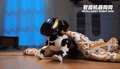 Robot Dog Electric Pet