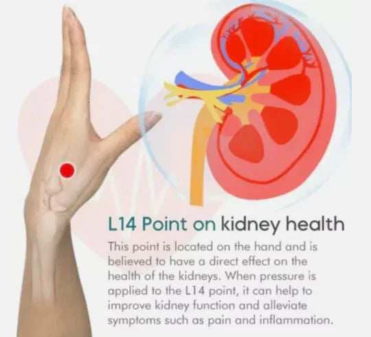 LI4 Acupressure Clip for Sugar Balance & Wellness